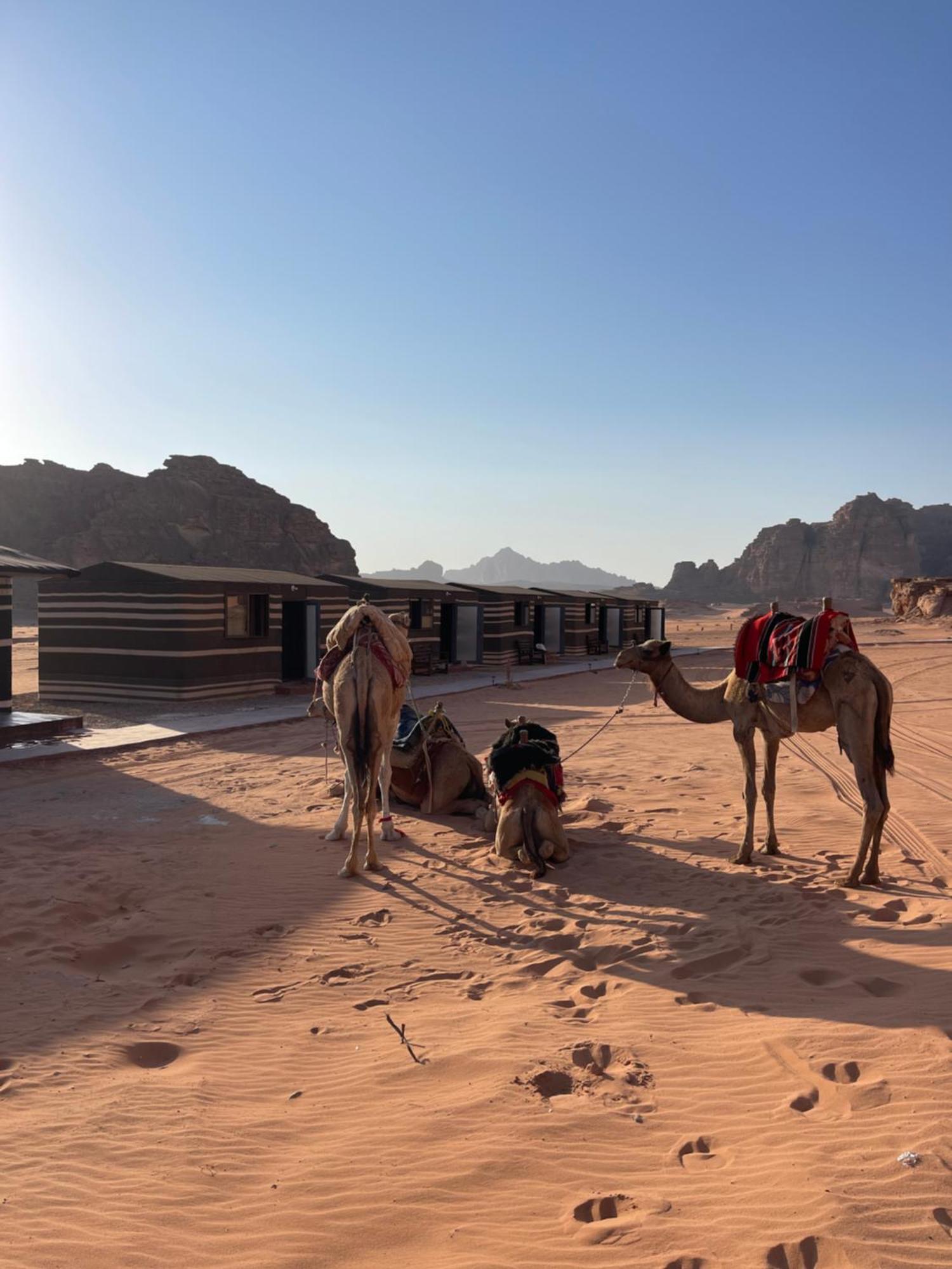 Wadi Rum Star Camp Luaran gambar